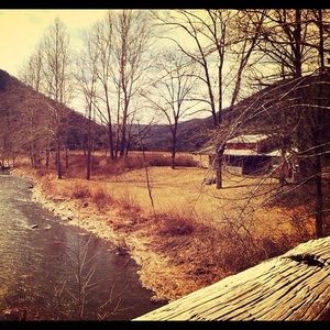 Meet your Posher, Julieanne